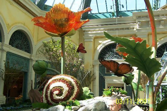 Bellagio Konservatorium og Botaniske Haver